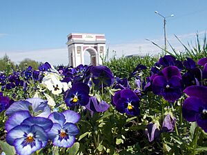 Триумфальная арка и городские цветы.