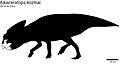 Ajkaceratops holotipo