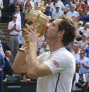 Andy Murray Wimbledon 2016