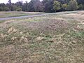 Anglo-Saxon barrow, Greenwich Park