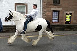 Appleby Horse Fair (7172423637)