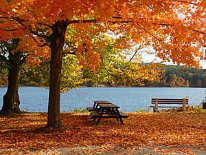 Autumn at Roseland Park, Woodstock Connecticut