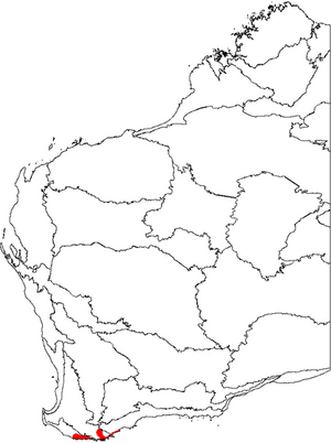 Banksia verticillata map.png