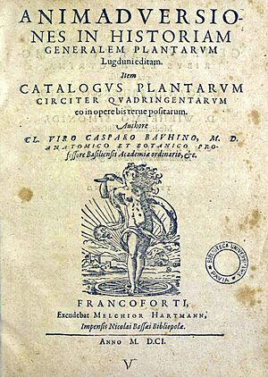 Bauhin, Gaspard – Animadversiones in historiam generalem plantarum, 1601 – BEIC 11856754