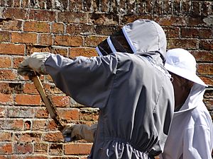 Bee keepers in Cressing Temple
