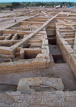 Bhirrana excavation.jpg