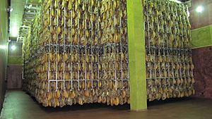 Bodega Jamon BEHER Bernardo Hernandez Guijuelo Salamanca