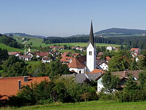 Buchenberg v O