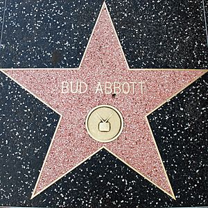 Bud Abbott's Walk of Fame Star