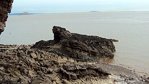Calf Rock (geograph 2679396)