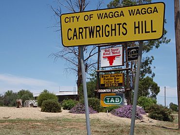 Cartwrights Hill, NSW.JPG