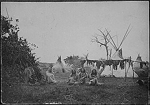 Cheyenne lodges with buffalo meat drying, 187