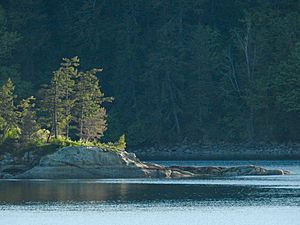 Chuckanut Point, WA