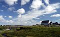 Church in Carloway in summer 2012 (2)