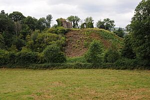 Clifford Castle