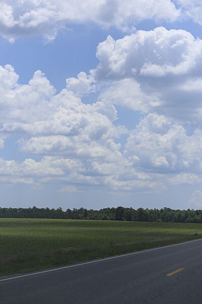 Cologne, Virginia