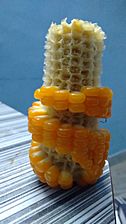 Corn spiral steps