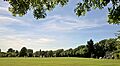Cricket in Admiral's Park, Chelmsford - geograph.org.uk - 5418200