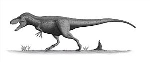 Daspletosaurus torosus steveoc.jpg