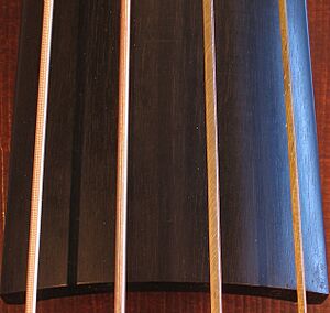 Double bass gut strings