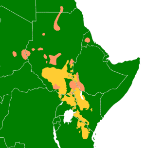 Eastern Sudanic languages Facts for Kids