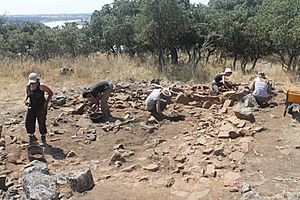 Excavación en el Castillón (2013)