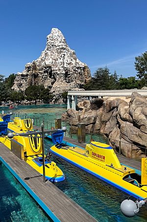Finding Nemo Submarine Voyage - July 2022 (2)