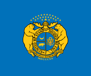 Flag of the Missouri State Guard.svg
