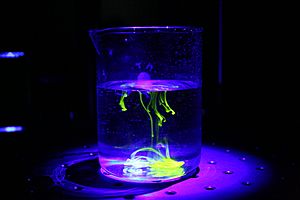 Fluorescence of Riboflavin in Water