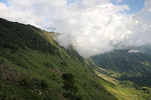 Forest on plateau of Morne d'Enfer in La Visite National Park