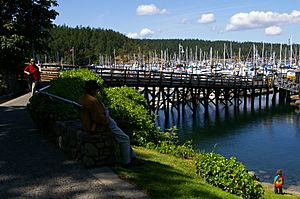 Friday Harbor 5