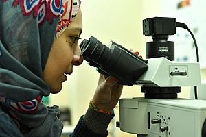 Gihan Kamel - infrared Beamline Lab.jpg