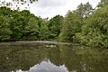 Gosfield Sandpits 10