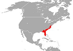 Greater siren range New research.jpg