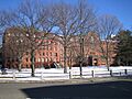 Harvard Museum of Natural History 050227