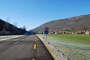 Herbetswil kantona chefvojo nr-o 30 bildo 106