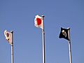 Japanese flags in Okinawa