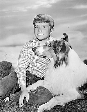 Jon Provost Lassie 1962