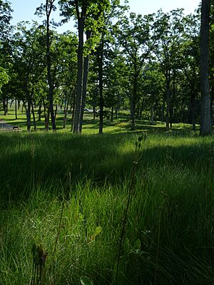 Kingsley Bend Mound Group