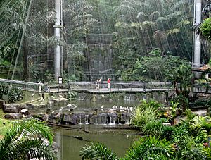 Kuala-Lumpur-Bird-Park-Inside
