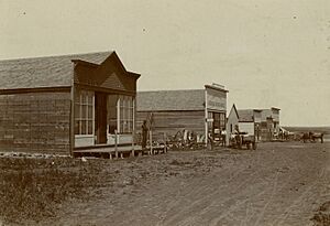 Main Street in Wilton, N.D., 1890s