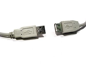 Male and Female USB Connectors