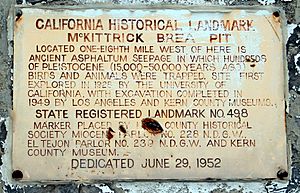 McKittrick California asphaltum seepage.JPG