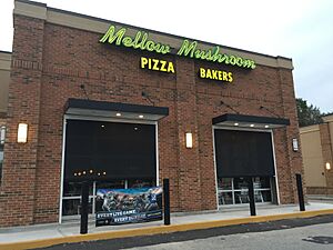 Mellow Mushroom in Hiram, Georgia, September 2016.jpg