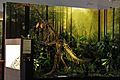 NDM Exhibit - Plateosaurus