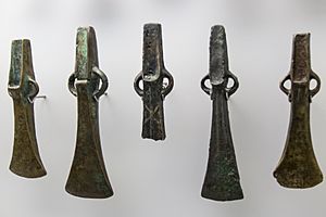 Oviedo - Museo Arqueológico de Asturias - 151023 121857