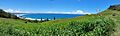 Pat Morton Lookout Dec 2024-1