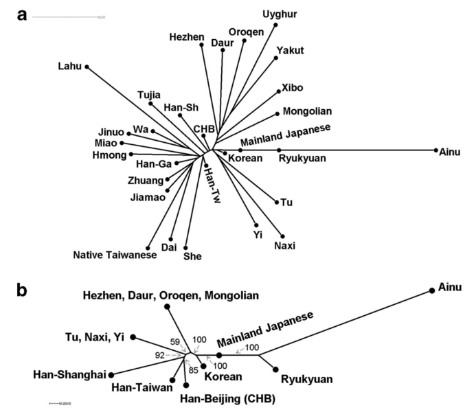 Phylogenetic trees for the three Japanese populations and other Asian populations