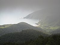 Playa de Pilolcura