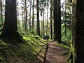 Puck's Glen alternative path down to car park